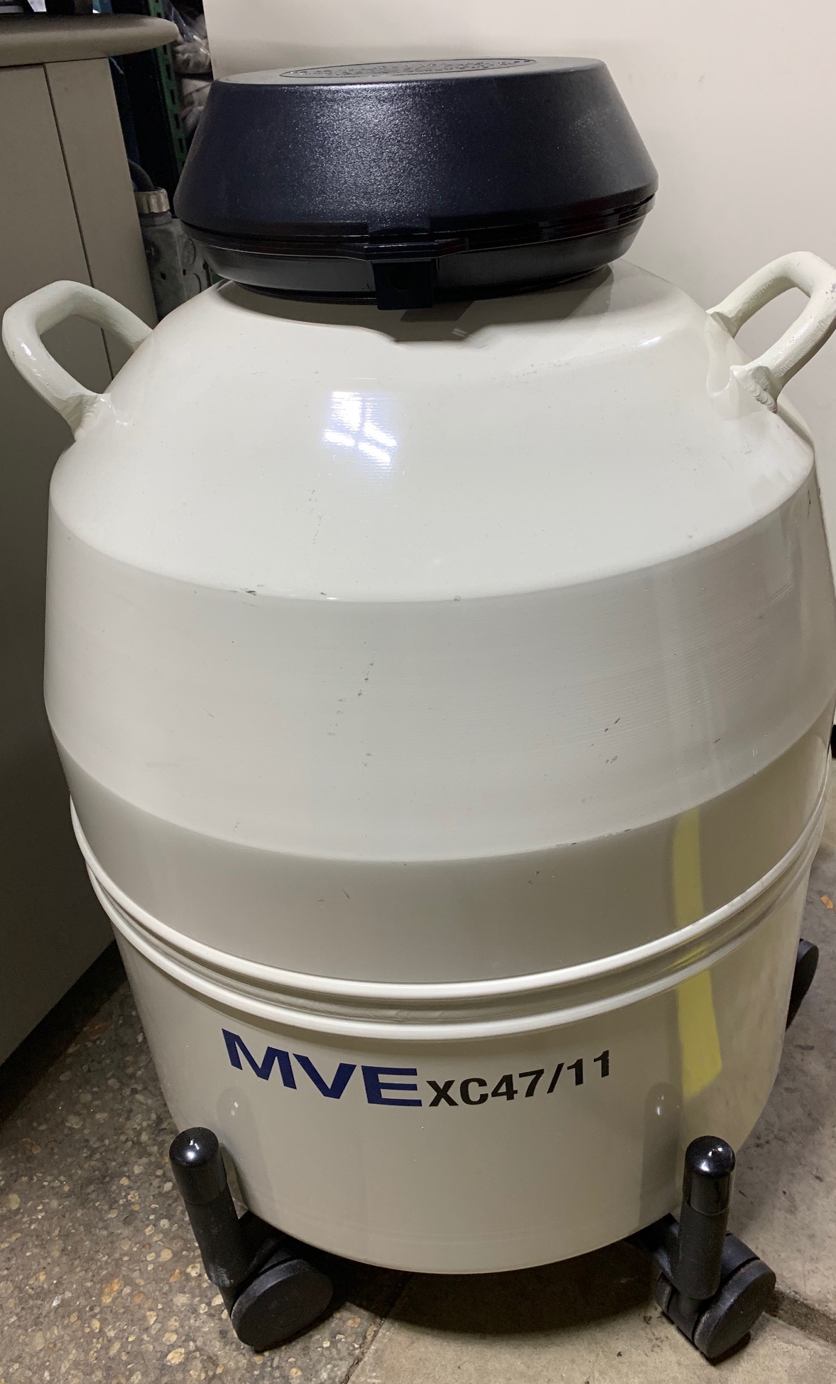 MVE XC 47/11  Cryogenic NITROGEN Freezer